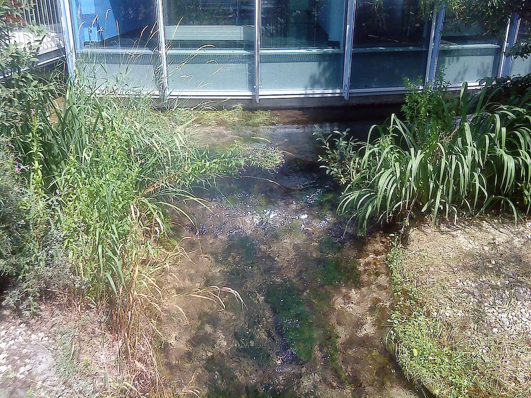 Die Mündung der Springe in die Kleine Schmiech