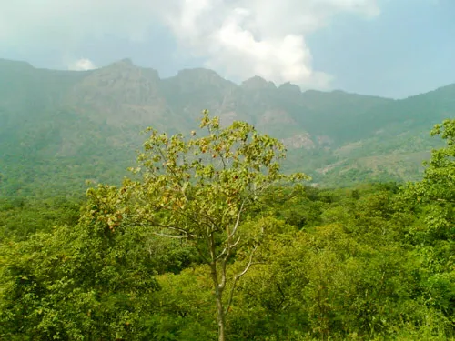 I have taken this photograph when I visited Shenbagathoppu along with my Weavers colony folks.