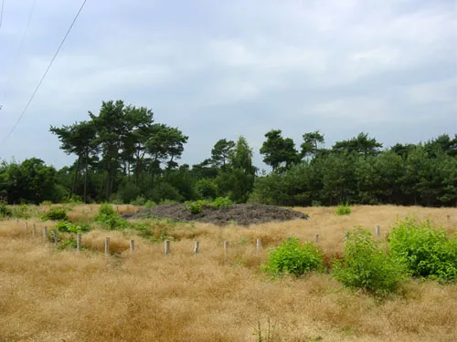 Burial mound Gendersteyn in Steensel, North Brabant, the Netherlands.