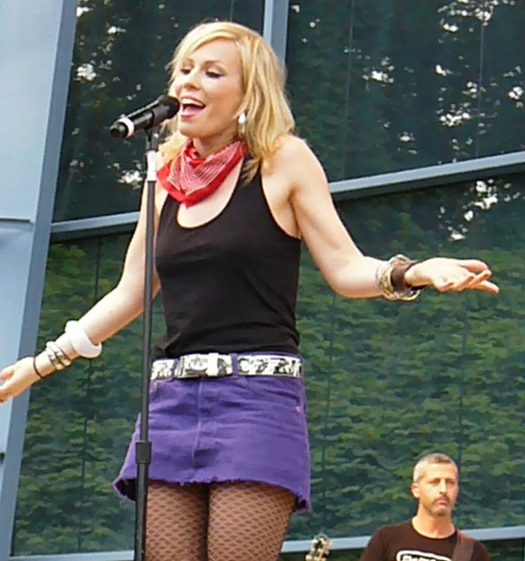 Picture taken by me at the Southern Star Amphitheater at Six Flags over Georgia in Austell, Georgia, USA on July 13, 2008.