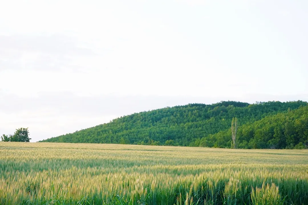 This is a photo of a natural heritage site in Kosovo, id: