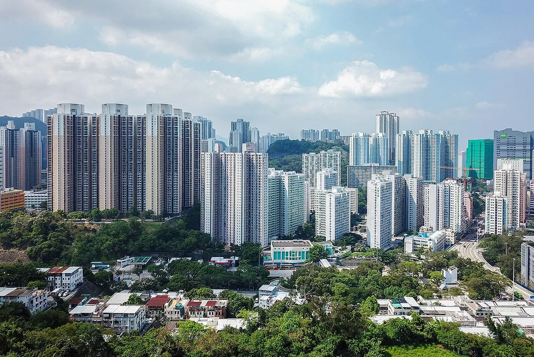 Tai Wo Hau