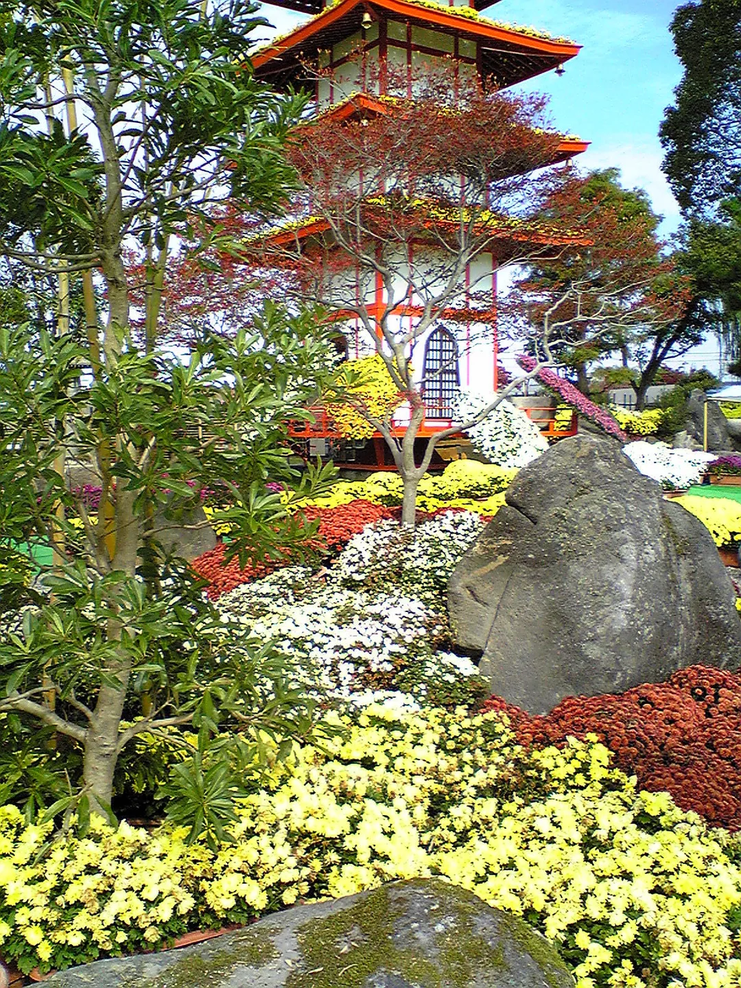 Takefu's famous Chrysanthemum Doll Festival