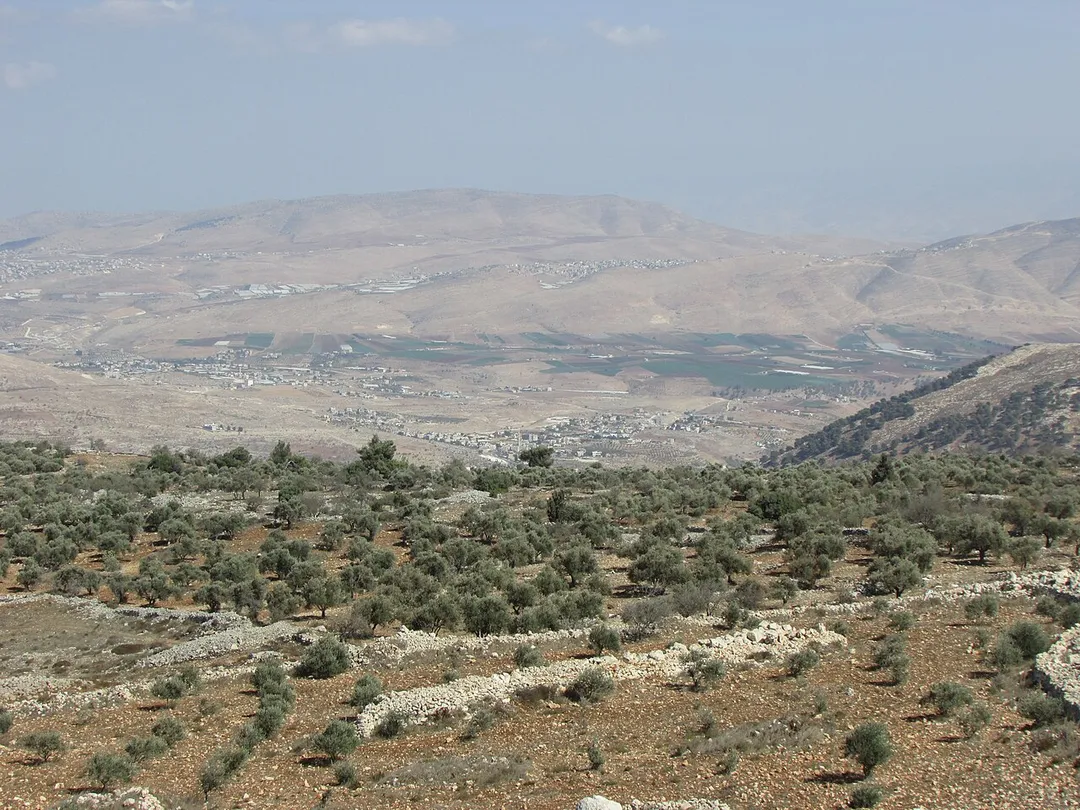 The closer houses are Ein al-Beida on the right and Ras al-Far'a on the left. The green area is the valley of Tirtza. Behind it is tammun. On the left is part of Tubas. The mountain behind Tammun, filling most of the picture is Mount Gadir.