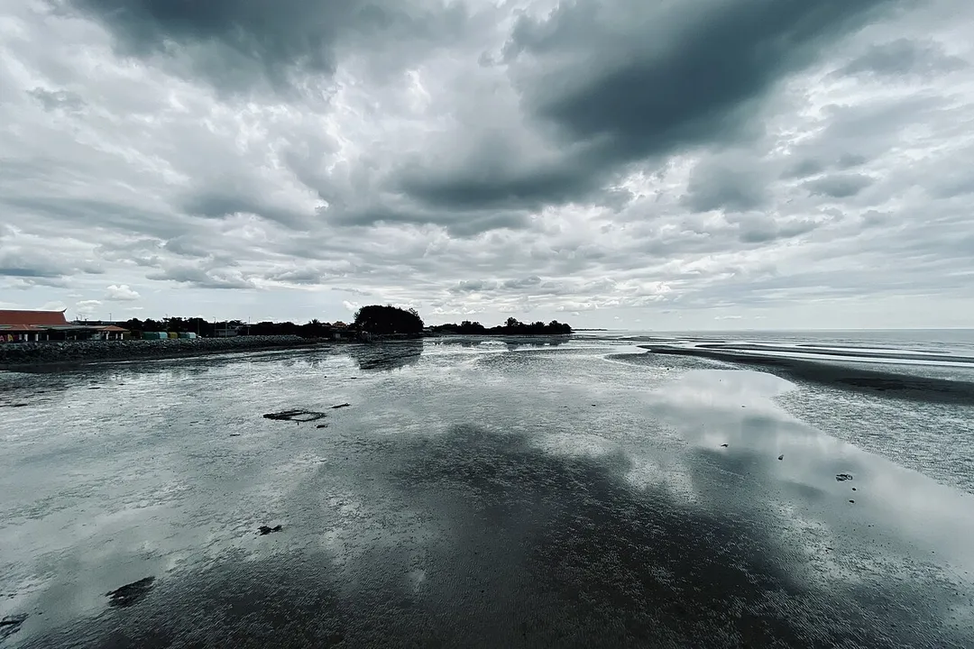 Mudflats off the coast of Tanjung Sepat, Kuala Langat, Selangor.