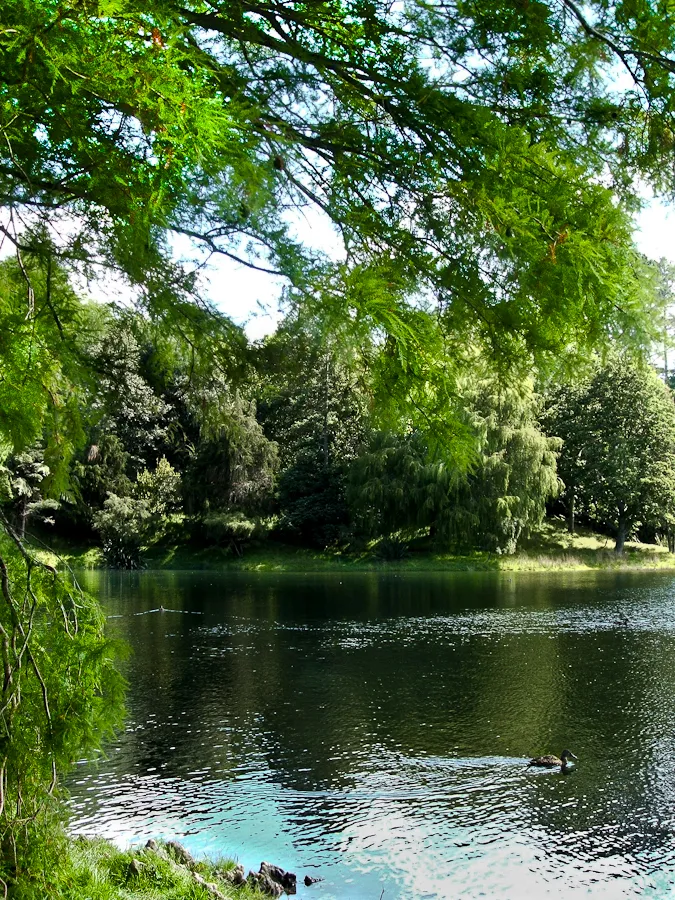 McLaren Falls park on the outskirts of Tauranga