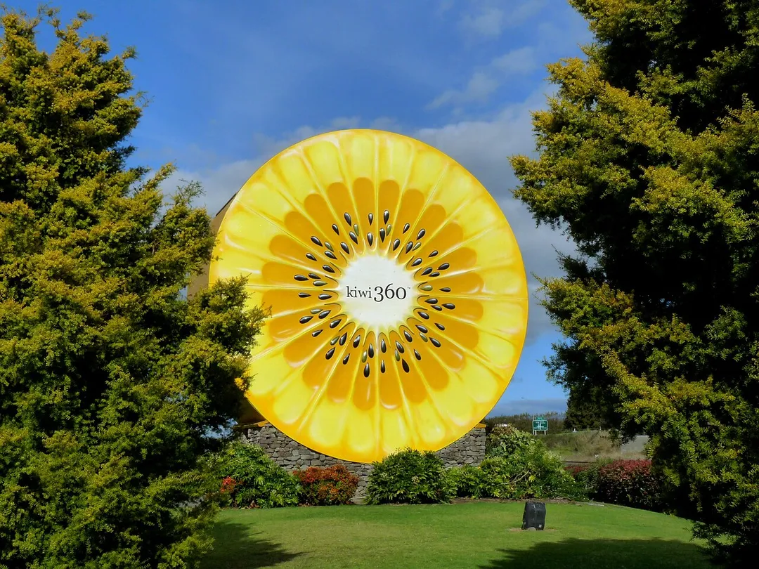 The Kiwi360 in Te Puke, New Zealand. One side of the Kiwi360 is green, and the other side (shown) is yellow.