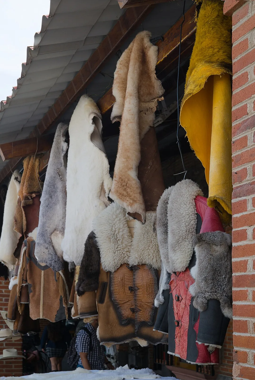 Leather shop, Tezontepec, Hidalgo, Mexico