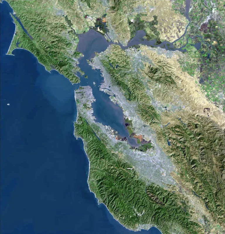 Photo of Tiburon