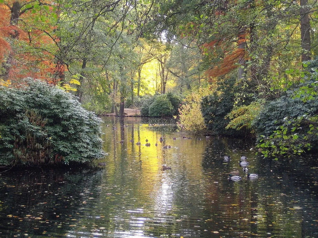 Photo of Tiergarten
