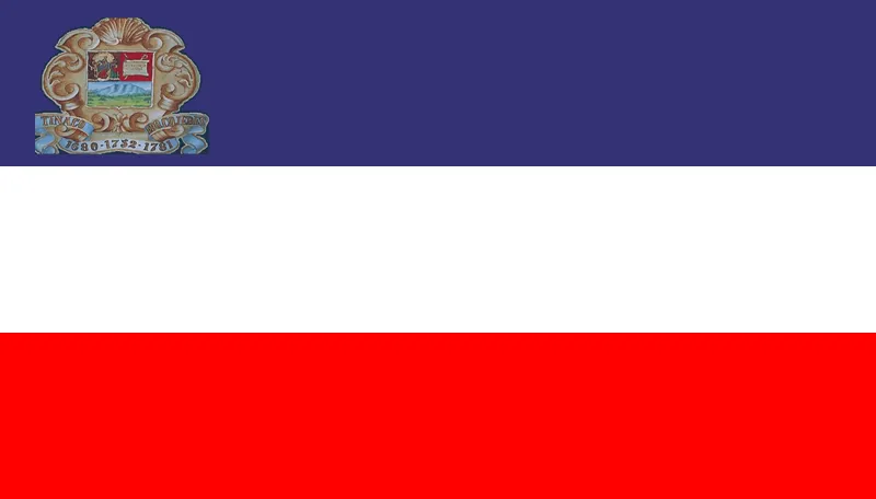 Bandera del municipio Tinaco, estado Cojedes, Venezuela