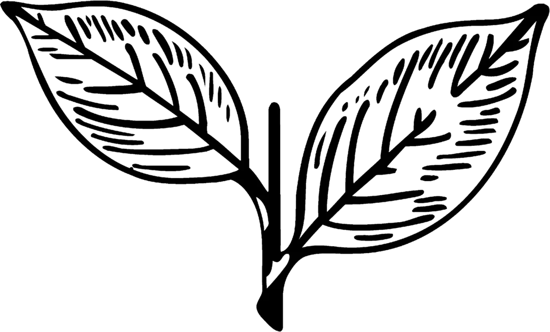 Two Leaves