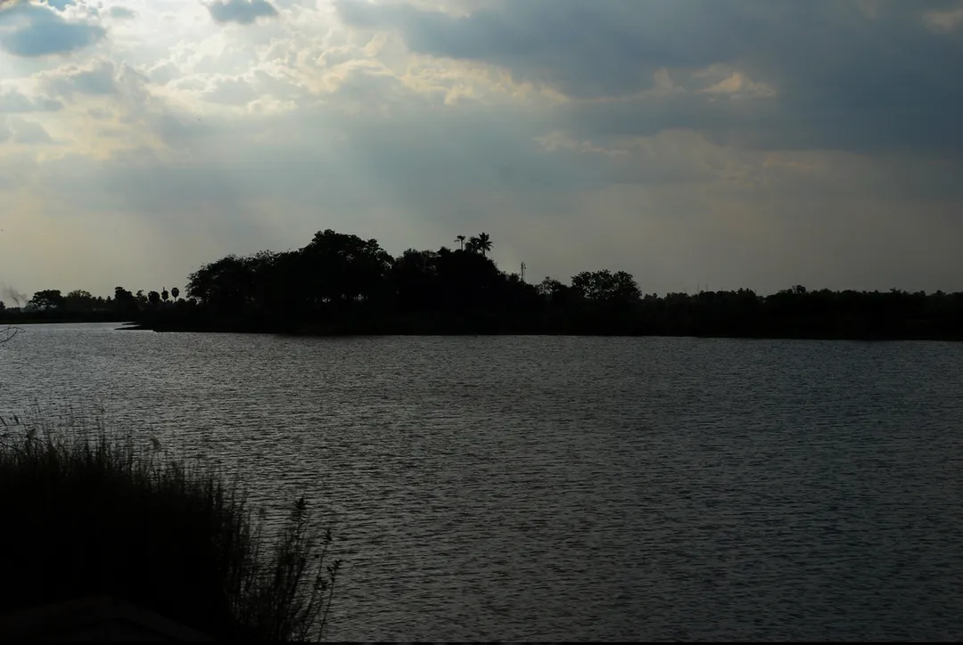 A lake between Tondaimanpatti and Tiruverumbur railway stations en route Trichy from Kumbakonam