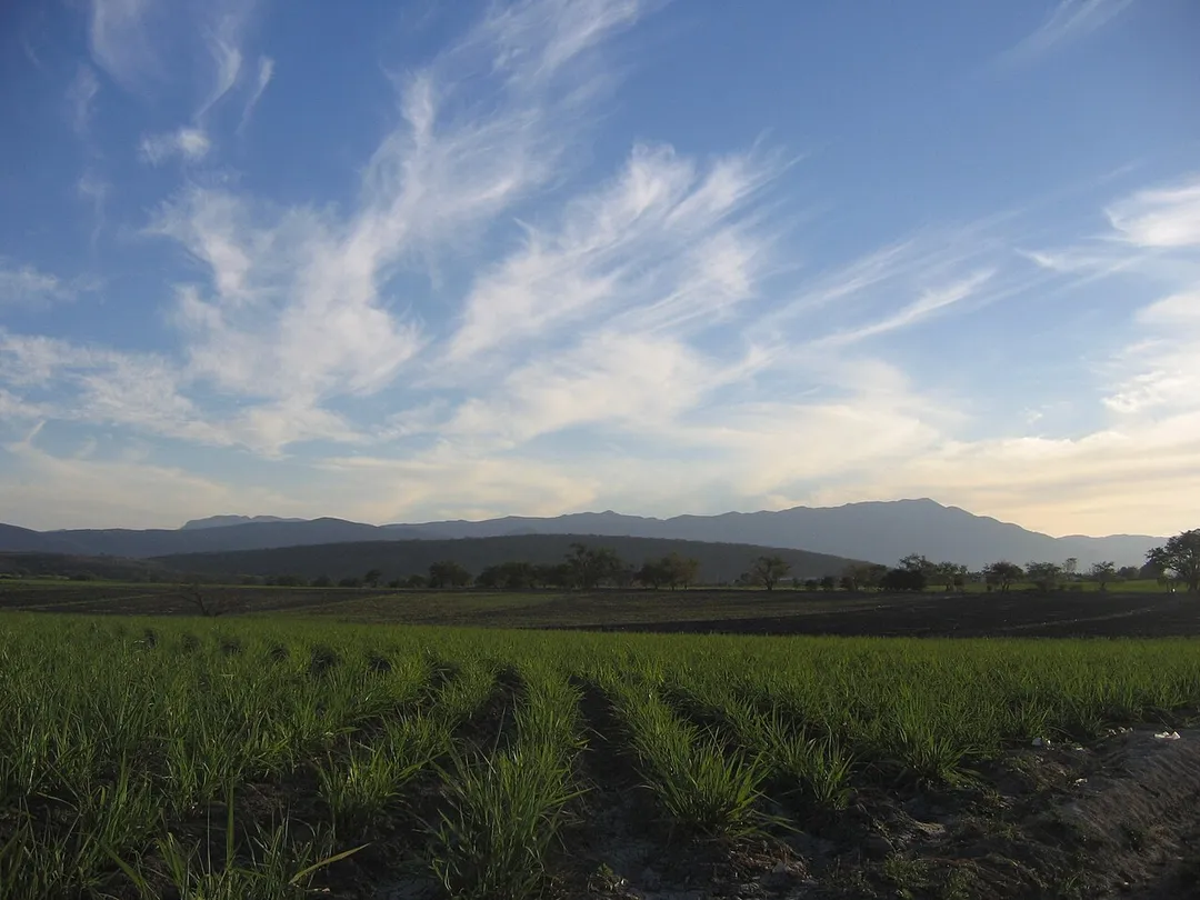 Una vista de los sembradíos que rodean al pueblo de Tlatenchi Morelos.