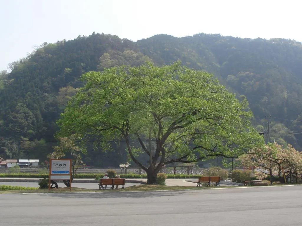 戸河内駅跡（広島県山県郡安芸太田町戸河内）