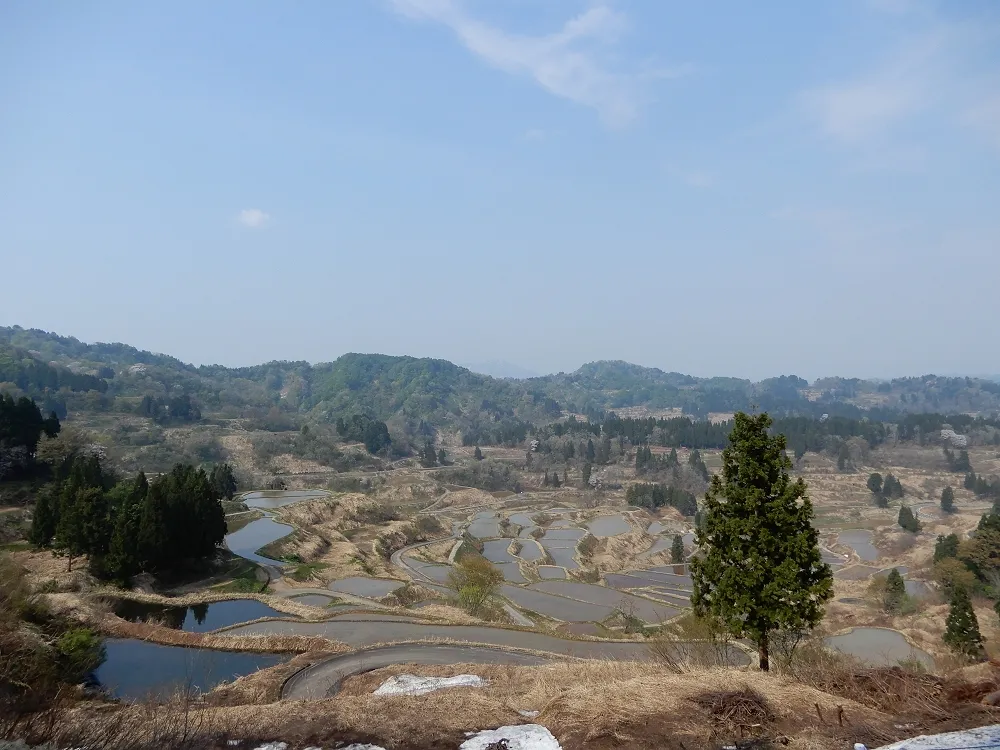 星峠の棚田