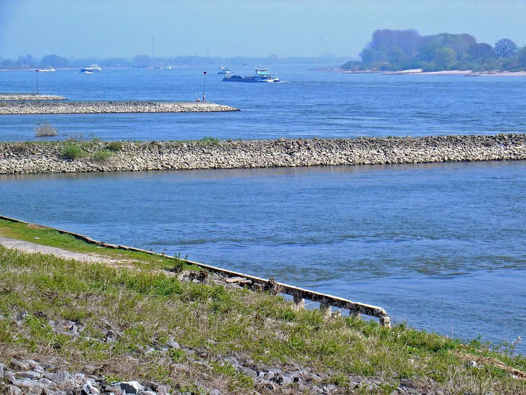 Rhine with groynes near Tolkamer, Netherlands.