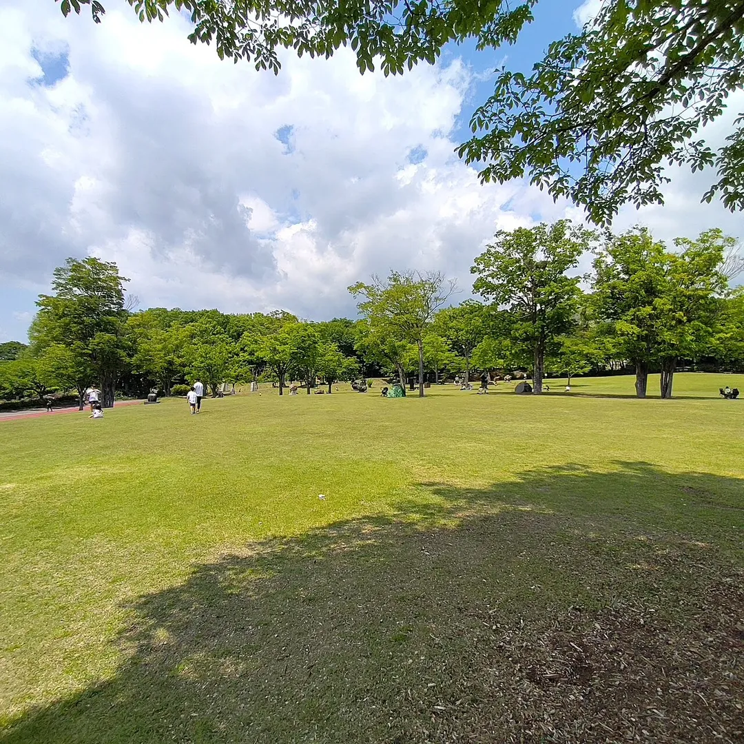 東御中央公園中央の芝生広場で周辺にはマラソンコースがあります。