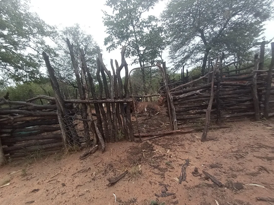 This is an image with the theme "Home + Habitat in Africa" from: