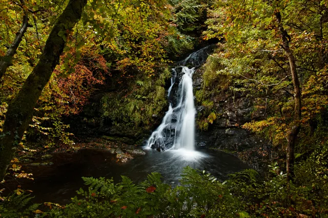 Waterfall at Toormakeady, Peoples Millennium Forest