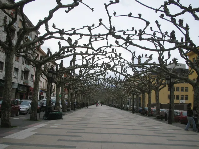 Avenida de España, en Torrelavega.