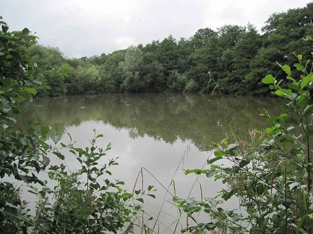 Darland's Lake nature reserve, Totteridge, Barnet, London
