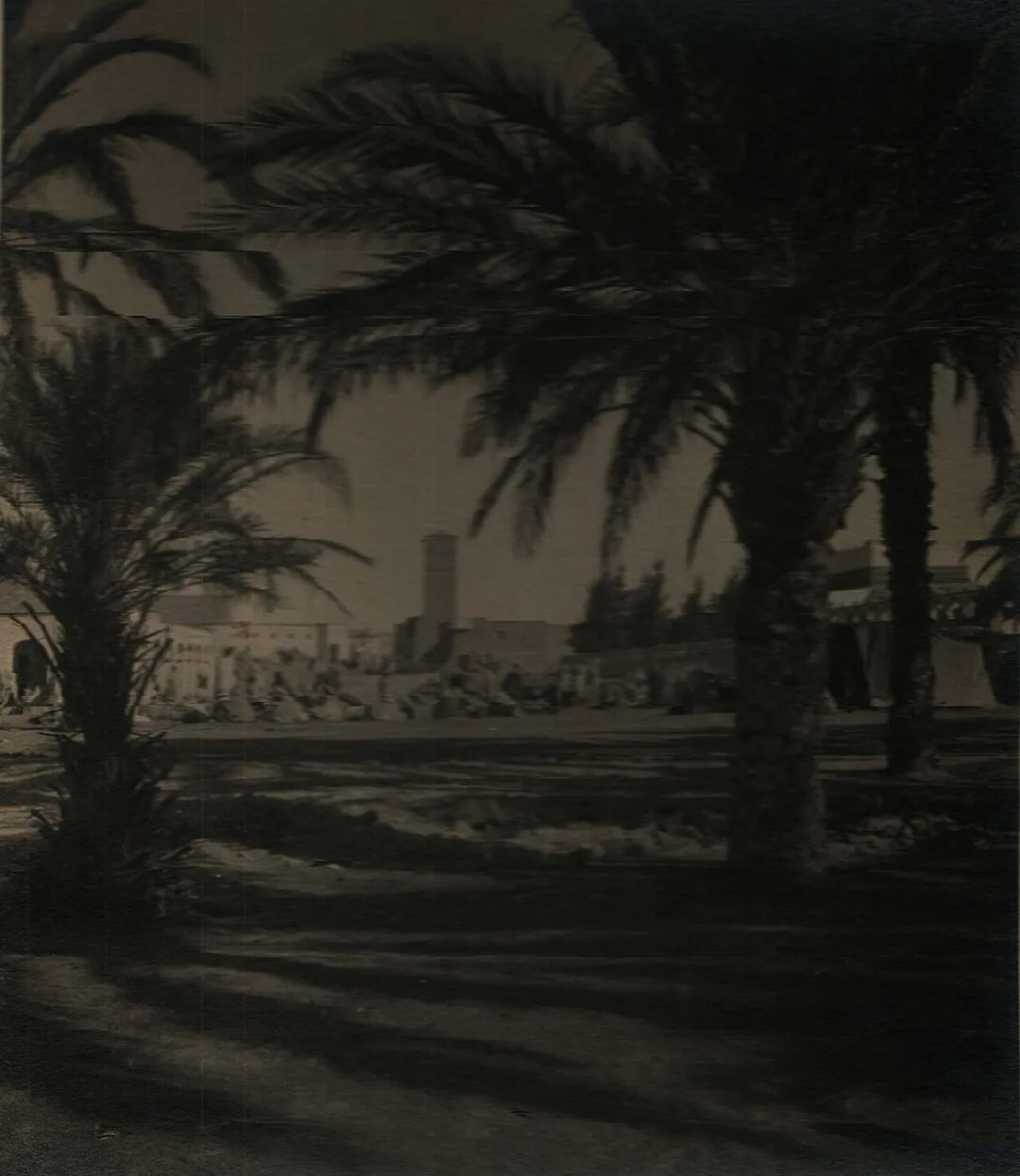 Market in Touggourt, Algeria. Views and photos of the Sahara desert and other regions in Africa.
