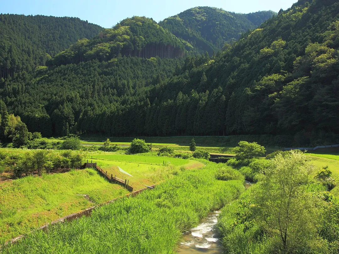 阿妻川と三分山町方面を望む（愛知県豊田市浅谷町、2011年〈平成23年〉7月）
