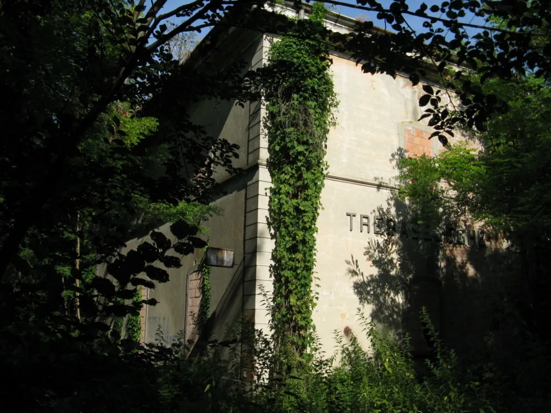 La vecchia stazione di Trebaseleghe, avvolta dalla boscaglia
