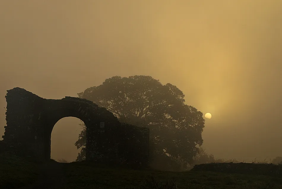 Sheep Gate in Trim, County Meath; national monument no. 469