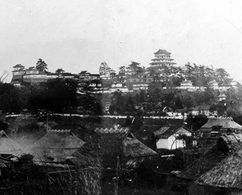 panorama of Tsuyama Castle old poto(taken about 1872 or 1873)