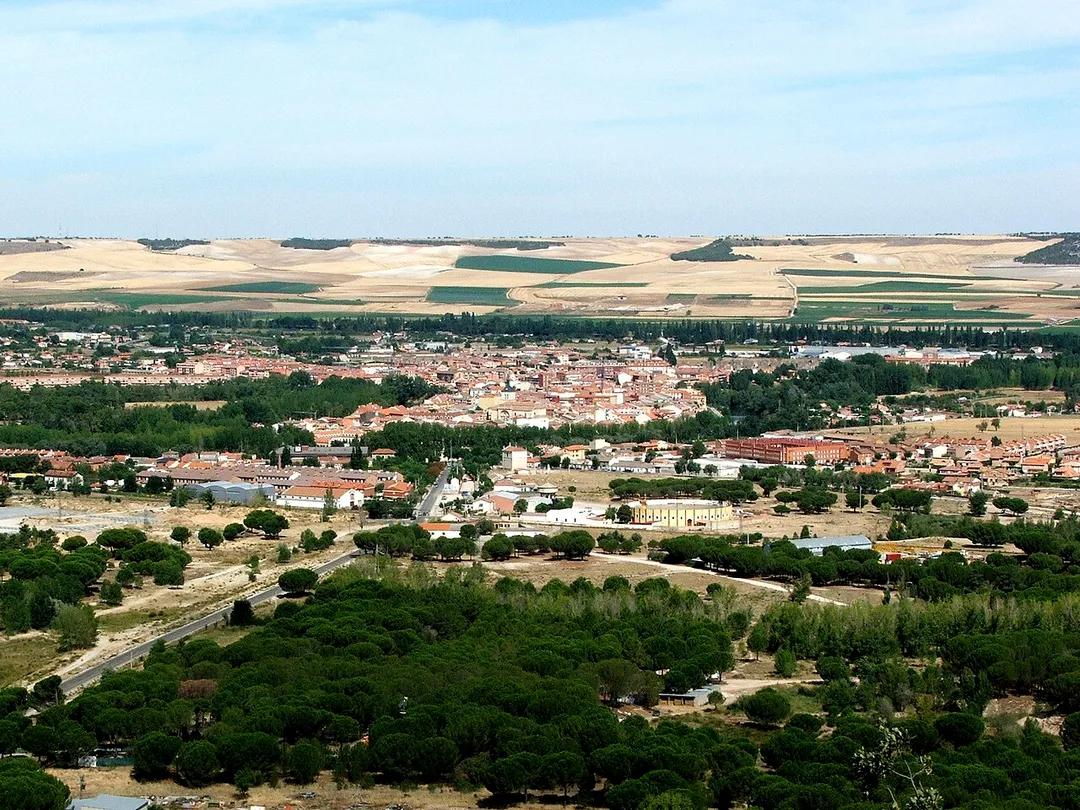 Imagen de Tudela de Duero tomada desde una colina