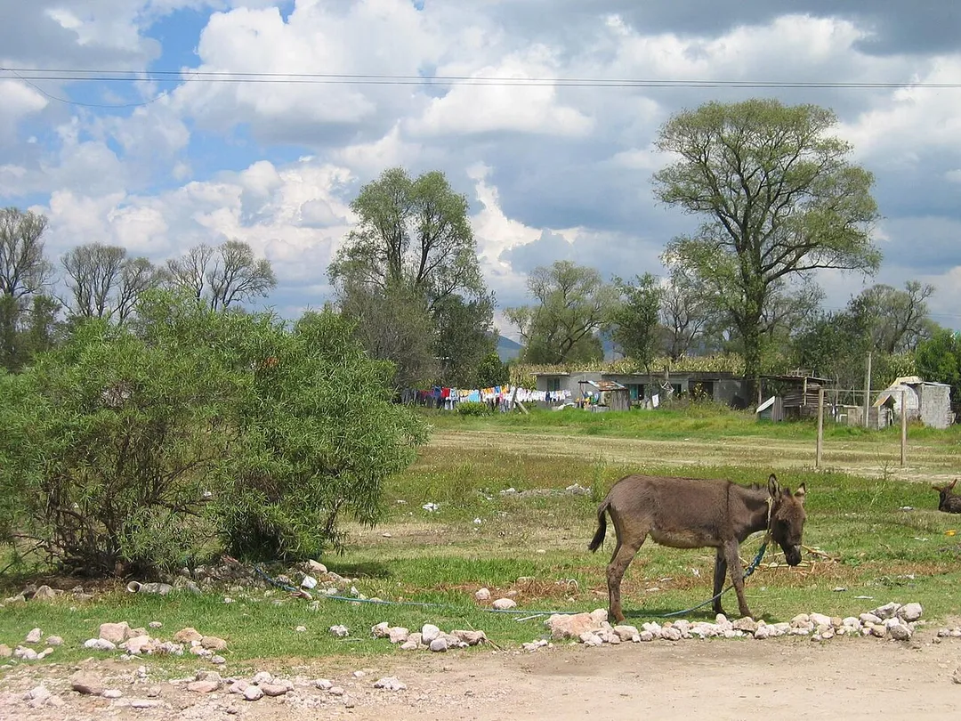 "Ejido" area in San Miguel Tocuila, Texcoco, Estado de Mexico, Mexico