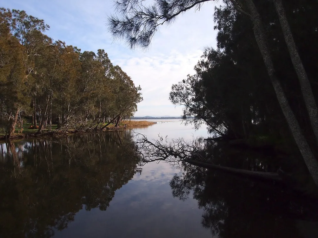 Tumbi Umbi Creek