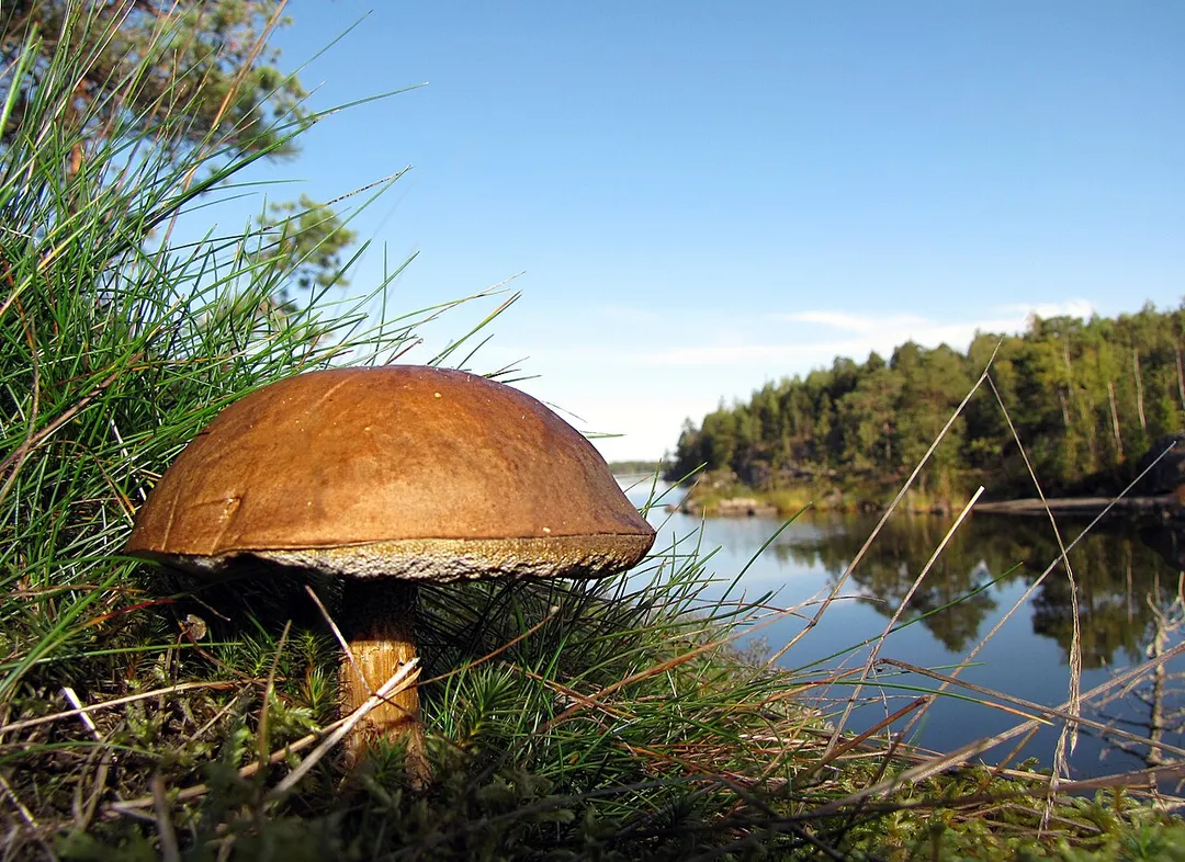Photo of Tuusula