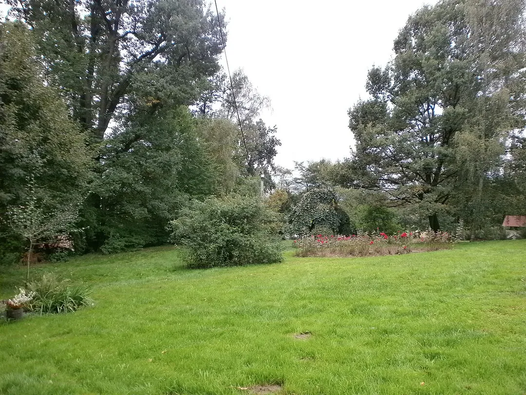 Tymbark, park,  XIX/XX