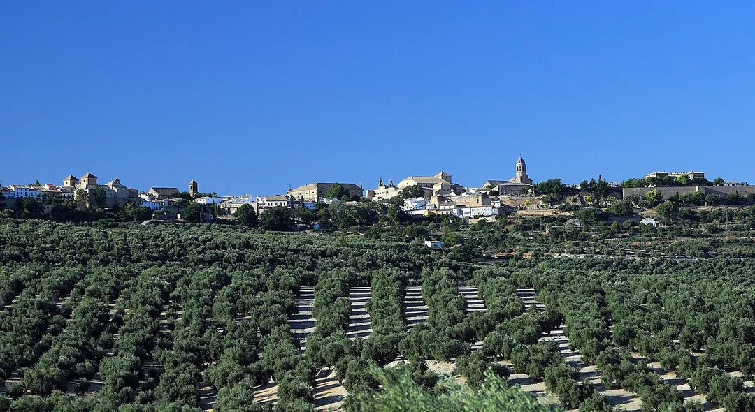 Von Süden aus dem Tal des Río Guadalquivir, die Altstadt von Úbeda liegt etwa 250 Meter höher.