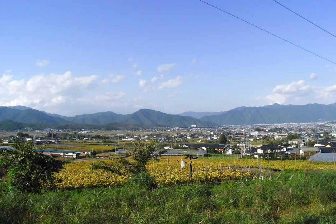 塩田平の南部から北東方向を望む