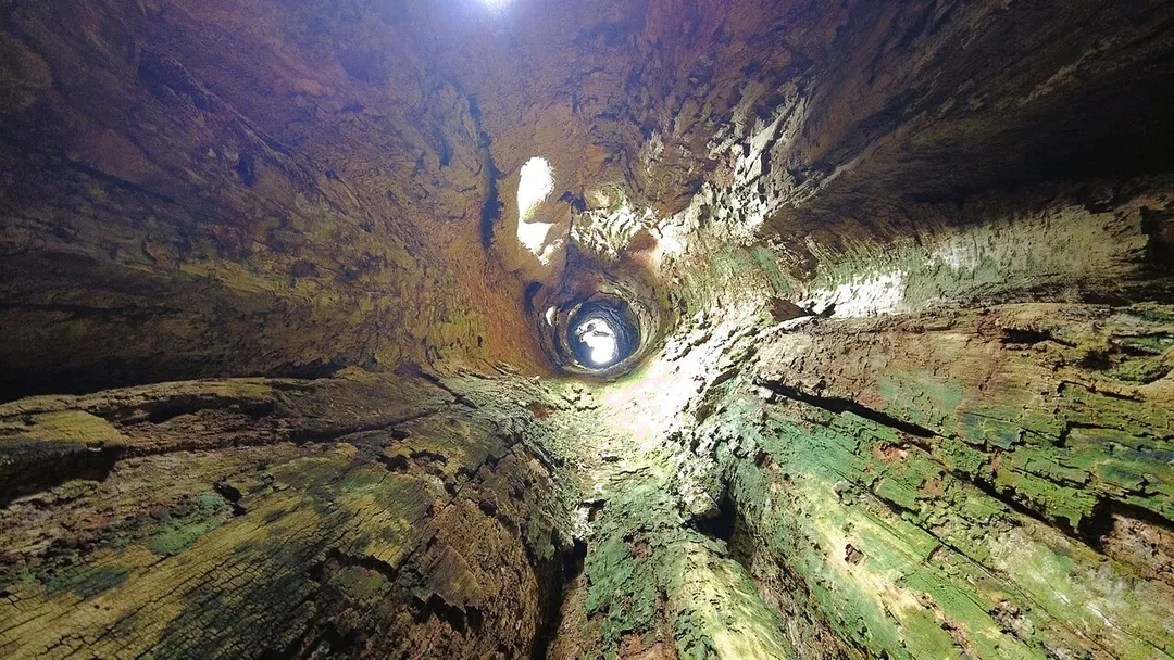 This is the inside view of the Amakama wooden cave, which is a a 42 meters living tree with a hollow inside that is capable of accommodating up to 10 adults at a time. Located in Amakama community, in Umuahia, Abia State Nigeria, it is designated as heritage site and tourist center by the state government. The tree was used as a safe haven in the community during the inter-tribal wars and the slave trade era. Location: Amakama Community, Umuahia south Local Government Area, of Abia State Nigeria.