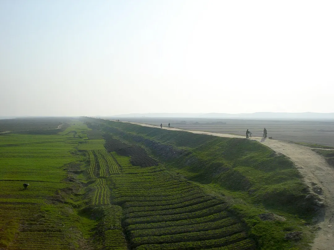 Rice fields of DPR Korea