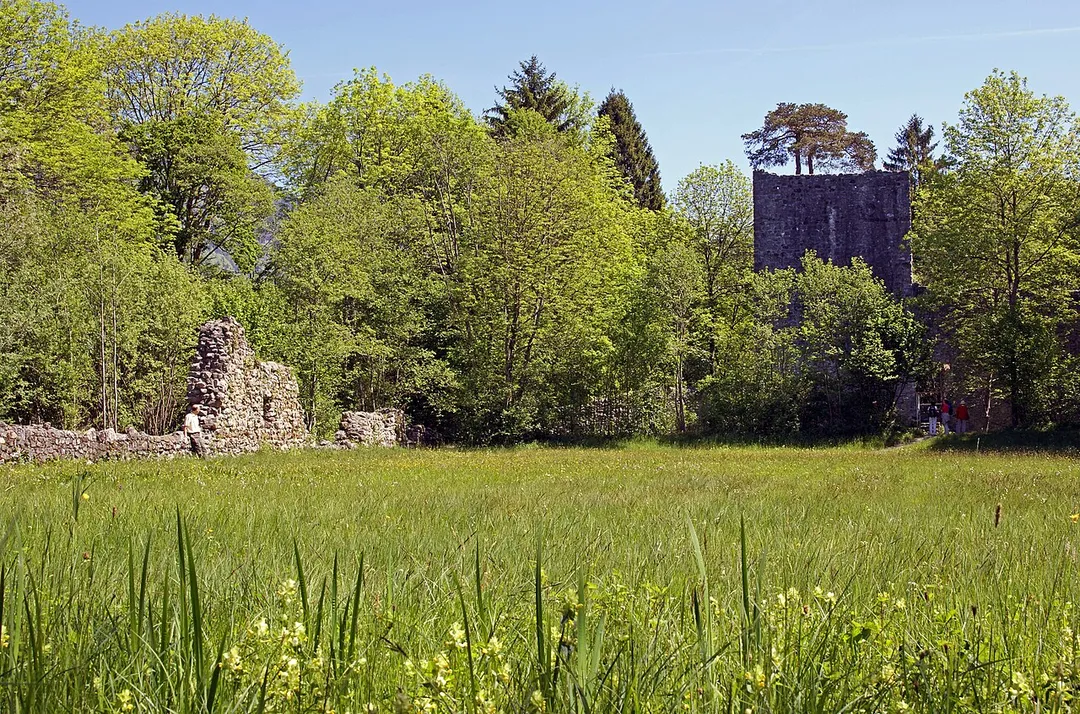 Ruine Weissenau Unterseen