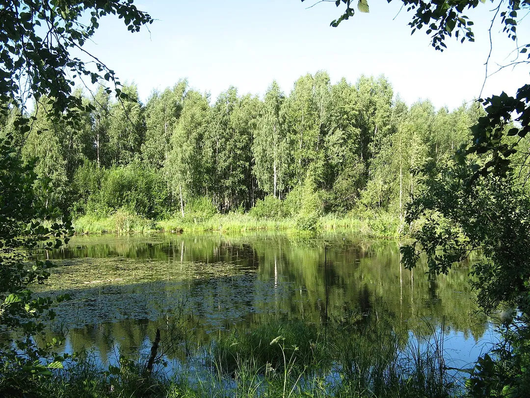 Yuntolovo