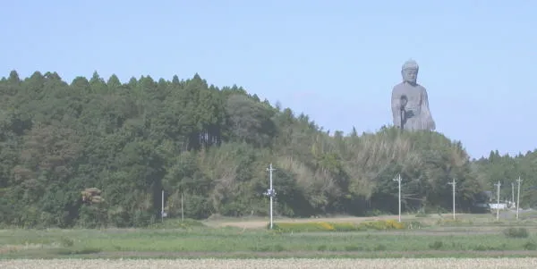 久野城跡の遠景