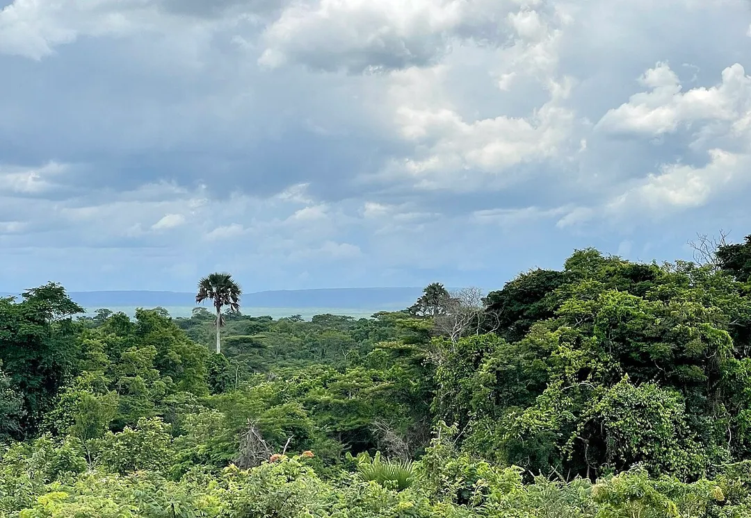 Landscape in Uvinza Ward, Uvinza District, Kigoma Region, Tanzania