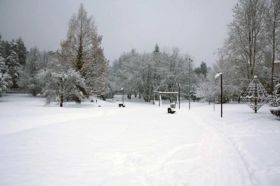 "Venegono Superiore" Parco Pratone sotto la neve