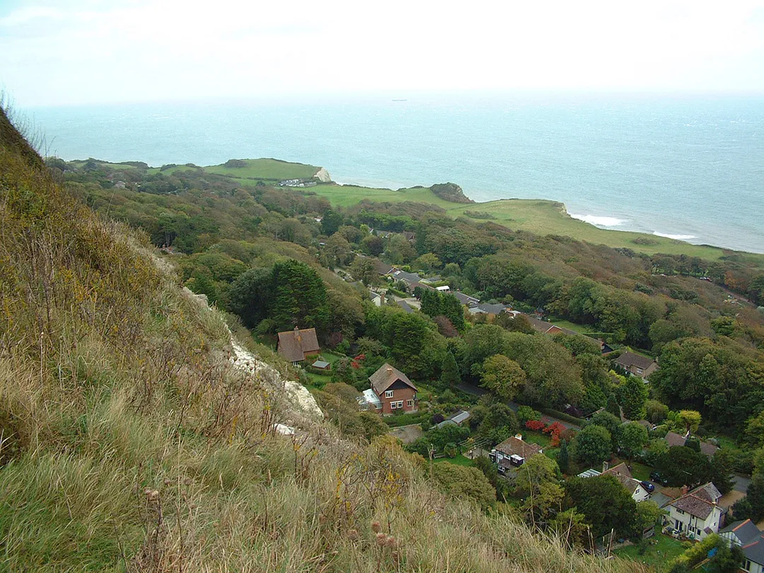 Isle of Wight Undercliff at St. Lawrence, view from Isle of Wight Coastal Path. The Undercliff is a south-facing tract of land, backed by cliffs and formed by landslip processes in Cretaceous rocks, whose sheltered location provides a unusually mild microclimate. It is the location of the Ventnor Botanical Garden, which is on the site of the now-demolished Royal National Hospital for Diseases of the Chest, a tuberculosis sanatorium that was established there to exploit the same mild climate.