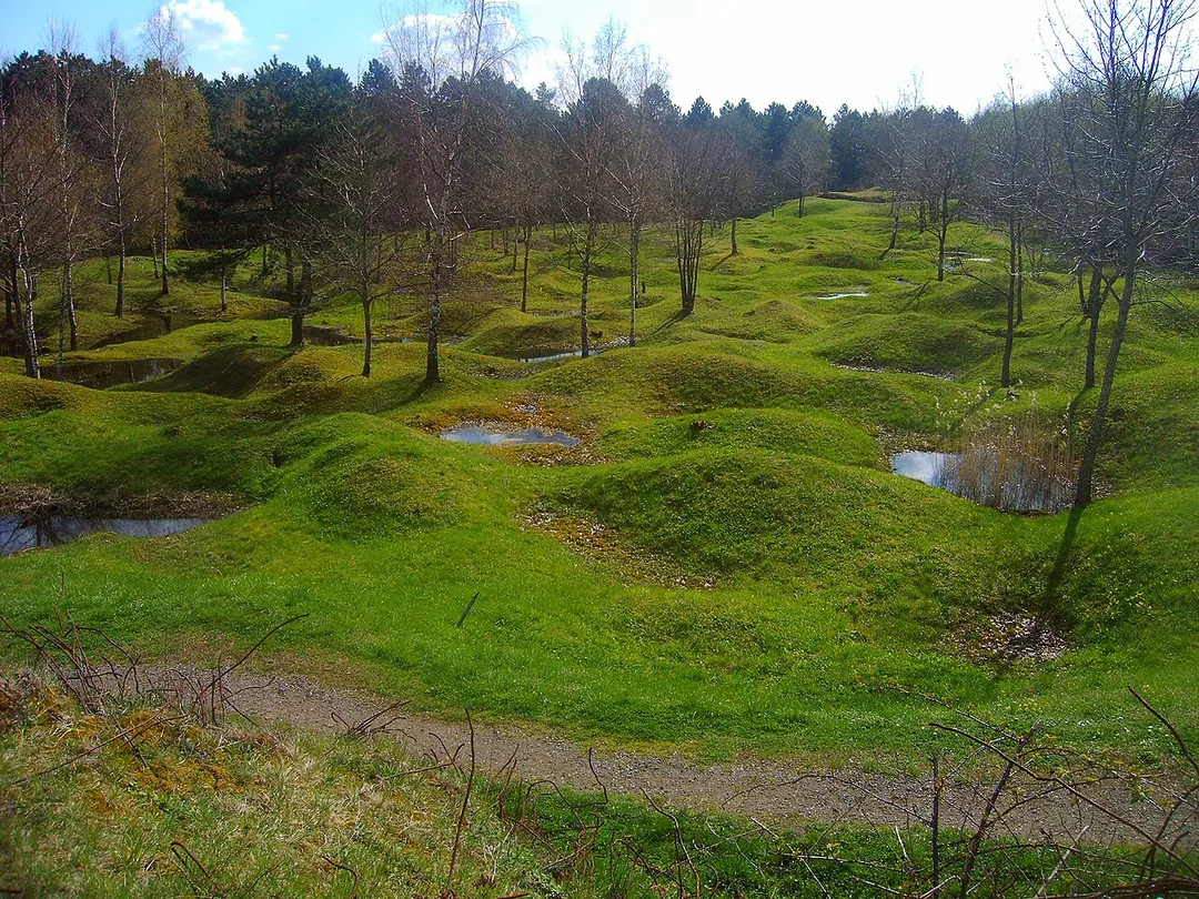 Un champ de bataille de Verdun pendant la guerre 1914-1918 qui conserve les impacts d'obus