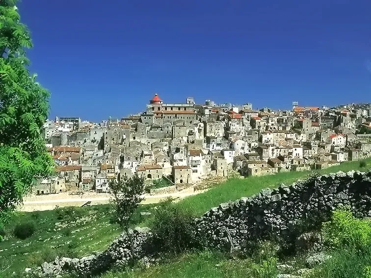 Panoram da N-E di Vico del gargano:al centro il Borgo Federiciano
(autore: R.Afr.)