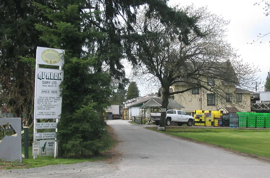 Avalon Dairy, Vancouver, shot April 6, 2007.