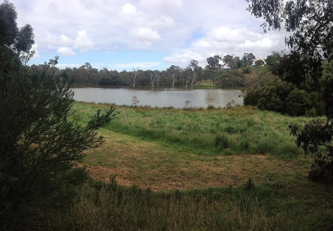 Banyule Swamp, Viewbank